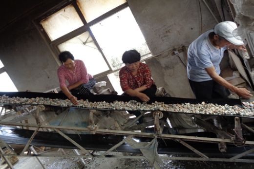 workers select the color and clutter